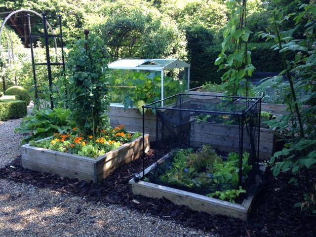 allotment bed
